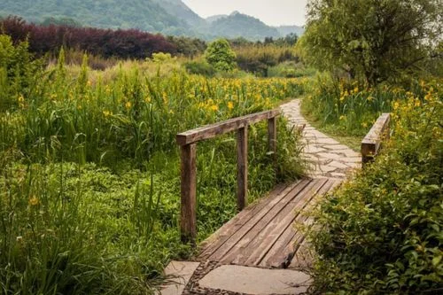 Navigating the Path of Mysticism: Is There a Right Way?