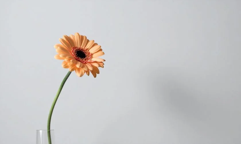 Emerging from Stagnation: Reconnecting with the Body