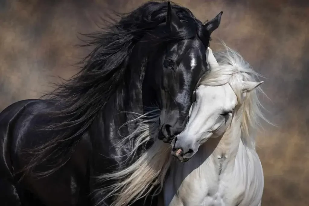 The Horse: A Bridge Between Worlds